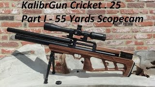 KalibrGun Cricket 25 Air Rifle  Part I  55 Yards 50m Scopecam [upl. by Nunci]