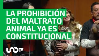 Senado aprueba por unanimidad reforma constitucional que prohíbe el maltrato de los animales [upl. by Ynafit]