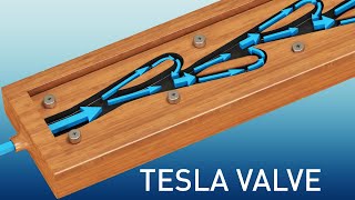 Tesla Valve  The complete physics [upl. by Octavus]