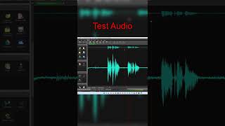 How To Remove Background Noise  Wavepad Tutorial [upl. by Atsuj612]