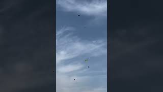 Tukal vs tukal kite basantkiteflying kiteflying basantfestival [upl. by Einnahpets]