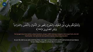 JUZ 2 Murottal Surat Al Baqarah ayat 150159 Nada Rost Merdu  Relaxing Rain Sound ASMR [upl. by Spracklen]