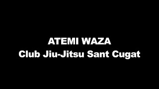 ATEMI WAZA JIUJITSU [upl. by Maxma]