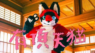 マグの『有頂天猫』 着ぐるみ 踊ってみた [upl. by Kalman26]