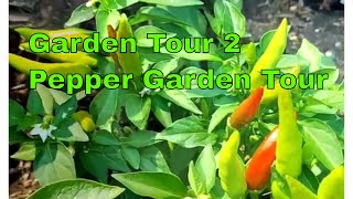 Garden Tour 2 [upl. by Elfie]