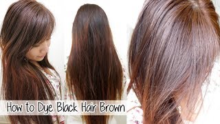 How to Dye Hair from Black to Brown Without Bleach l Loreal HiColor Vanilla Champagne [upl. by Dion]