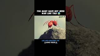 quotAntarchy erupts Watch the intense war between black and red antsquot part 1 shortsfeed ants [upl. by Boothman32]