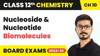 Nucleoside amp Nucleotide  Biomolecules  Class 12 Chemistry Chapter 10  CBSE 202425 [upl. by Hasile399]