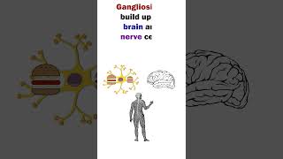 TaySachs Disease  Easy to remember Animation of Lysosomal Disorder shorts short medical [upl. by Ramsdell]