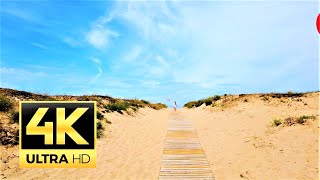 Oostduinkerke Belgium 🇧🇪 beach Promenade walk  4K 60FPS [upl. by Sivle]