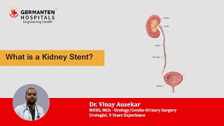 What is a Kidney Stent  Telugu  by Dr Vinay Ausekar Consultant Urologist Germanten Hospital [upl. by Nogas]