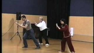 Shi Mei Lin Wu Style Tai Chi Slow Form [upl. by Ciredor]