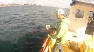 Mackerel Fishing in Paignton [upl. by Crescentia188]