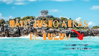 ☀️Snorkel en Tulum🏊‍♀️ el segundo arrecife mas grande del mundo❗️❗️🌎 [upl. by Nnairak]