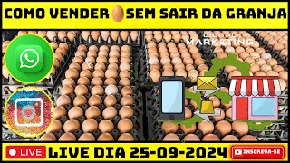 MARKETING DIGITAL NA PRODUÇÃO DE OVO CAIPIRA [upl. by Leumel834]