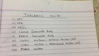 Thalamus Nuclei  Neuroscience  USMLE STEP 1  Made Ridiculously Simple with Mnemoic [upl. by Alejandra]