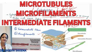 Cytoskeleton microtubules microfilaments intermediate Filaments structure and functions [upl. by Willumsen]