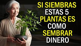 ¡Quieres DINERO SIEMBRA estas 5 PLANTAS en tu CASA  Enseñanzas Budistas [upl. by Atteuqcaj]