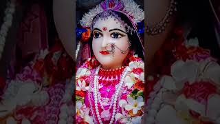 ll Radhe Radhe 🙏 ll🌹🌹viral bhajan YouTube shorts ❤️ [upl. by Basil298]