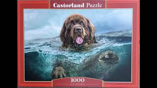 Puzzle Big Brown 1000 pieces Castorland [upl. by Tserrof]