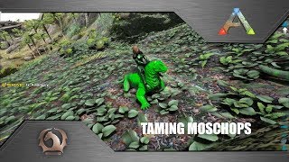 Ark Survival Evolved  Taming Moschops [upl. by Rhynd927]