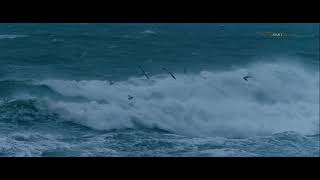 Storm op de Waddenzee  Bijzondere WAD fragmenten 10 [upl. by Canada278]