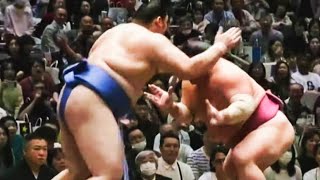 Natsu Basho 2024 Day 8 Daieisho vs Onosato [upl. by Tenenbaum]