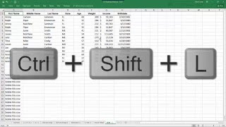 Best Keyboard Shortcuts Ctrl Key in Excel [upl. by Etom]