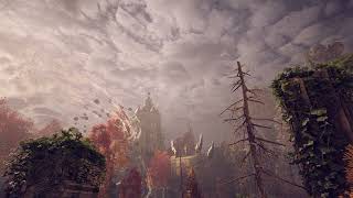 Dragon Age The Veilguard  Arlathan Forest Waterfront Glade  ambiance asmr [upl. by Naahsar]