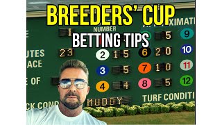 Breeders Cup Betting Tips [upl. by Narud]