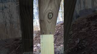 Best deck bracing install framing diy deck bracing [upl. by Inahteb]