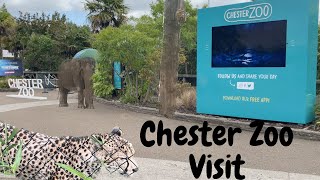 Chester Zoo Visit  2023 New Quick Tour  A few surprises along the way [upl. by Mateusz672]