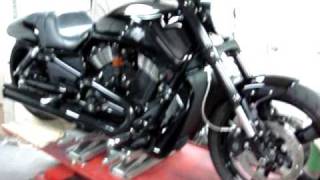 2009 V Rod Muscle Night Rod [upl. by Aisyat311]