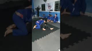 A TRIBO KAMARÁ JIU JITSU 2022 jiujitsu treino [upl. by Jehiel534]