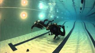 PADI Teaching Tips from the Pros Peak Performance Buoyancy Specialty [upl. by Bittencourt]