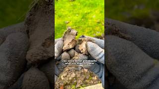 2 Easy Steps to Improve Clay Soil [upl. by Timms]