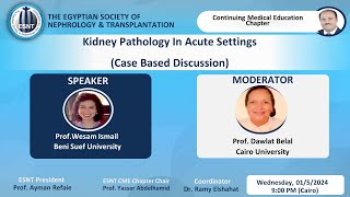 Kidney Pathology in Acute SettingsProf Wesam Ismail [upl. by Daley]