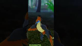 Feather Family Mini Facts 1  The Hoatzin featherfamily roblox [upl. by Ninos]