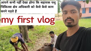 My First vlog AVFO ASSISTANT VETERINARY FIELD OFFICERS FIELD WORK AND OFFICE WORK [upl. by Grote]