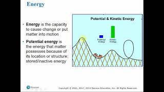 2107 Chapter 2  The Chemical Context of Life [upl. by Enaillil]