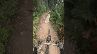 Equilibrio 😎 mtb downhillmtb mtbdownhill mountainbike gopro mtblife mtblove mtblifestyle [upl. by Johnsten]