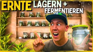 Die Ernte ist da 😱 Lagern und richtig Fermentieren für Anfänger [upl. by Emmit]