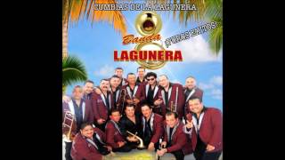 Banda Lagunera  Cumbias De La Lagunera Audio [upl. by Maretz]