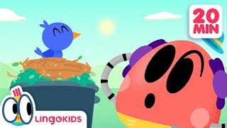 BABY BOT 🤖 and The Magic Stick  More Episodes 🐞  Lingokids Cartoons [upl. by Eileme]