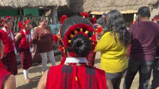 Sangtam Tribe Women folk song [upl. by Hardman663]