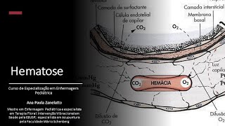 Hematose  peculiaridades na pediatria [upl. by Hanahs]