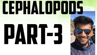 Geology palaeontology lecture series cephalopods part3 [upl. by Obmar25]