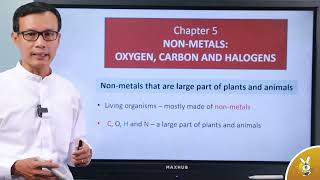 Waso LearnChapter5 NonMetals [upl. by Nesaj689]