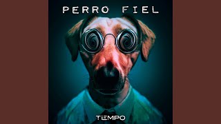 Perro Fiel [upl. by Salesin]