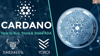 Beginners Guide to Cardano How to Buy Store amp Stake ADA Token [upl. by Ynnavoeg494]